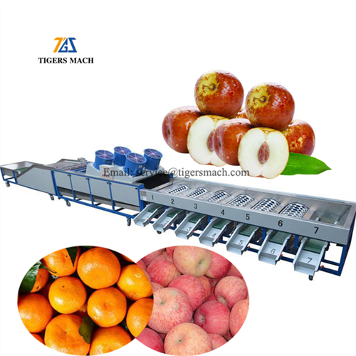 Triedička veľkosti zemiakov