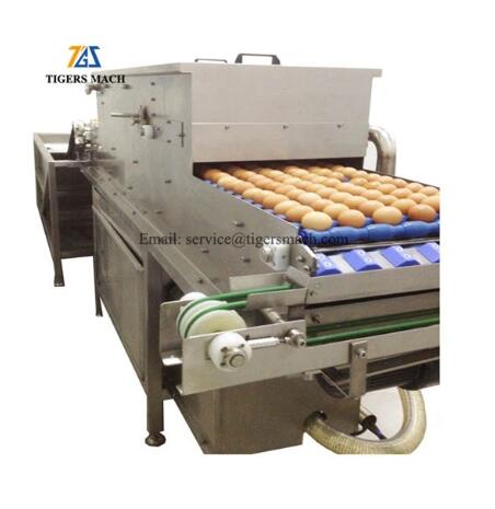 Automatic egg cleaner machine Automatic egg cleaner machine